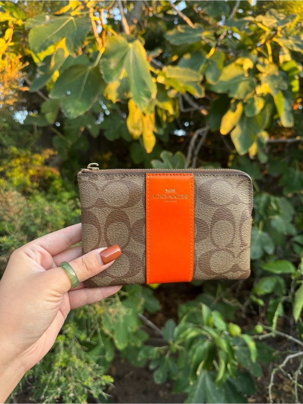 Coach Brown Signature Zip Wristlet with Orange stripe
